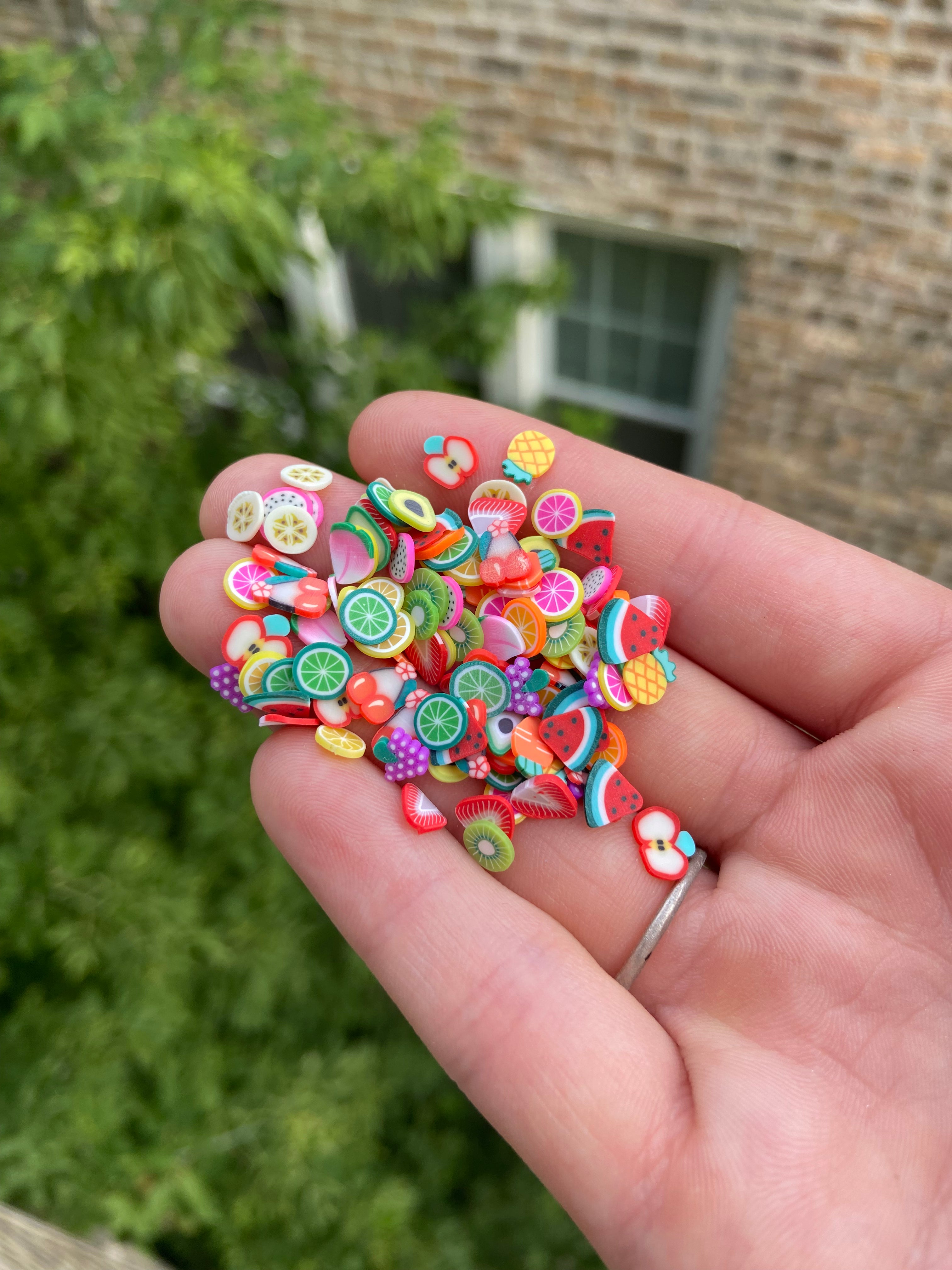 Fruit Polymer Slices