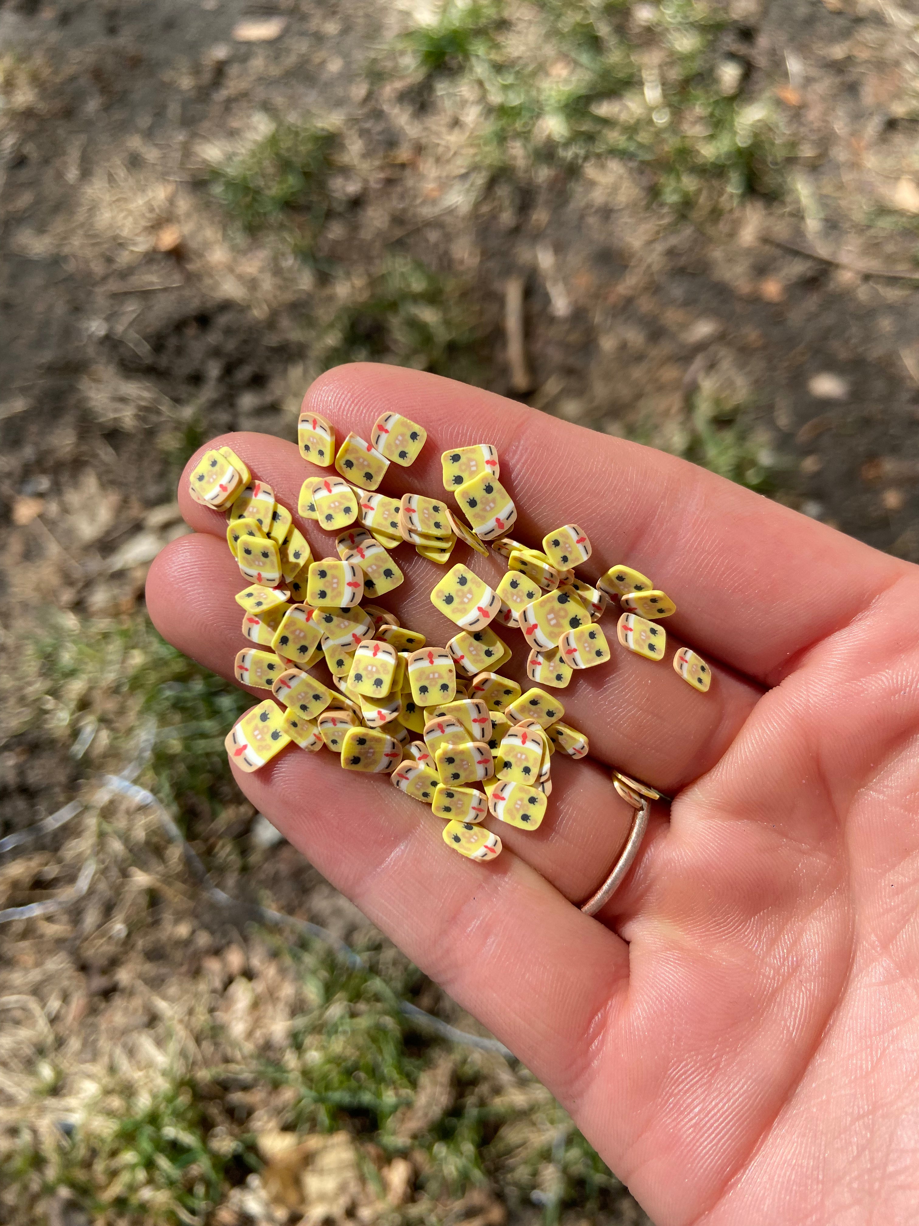 SpongeBob Polymer Slices