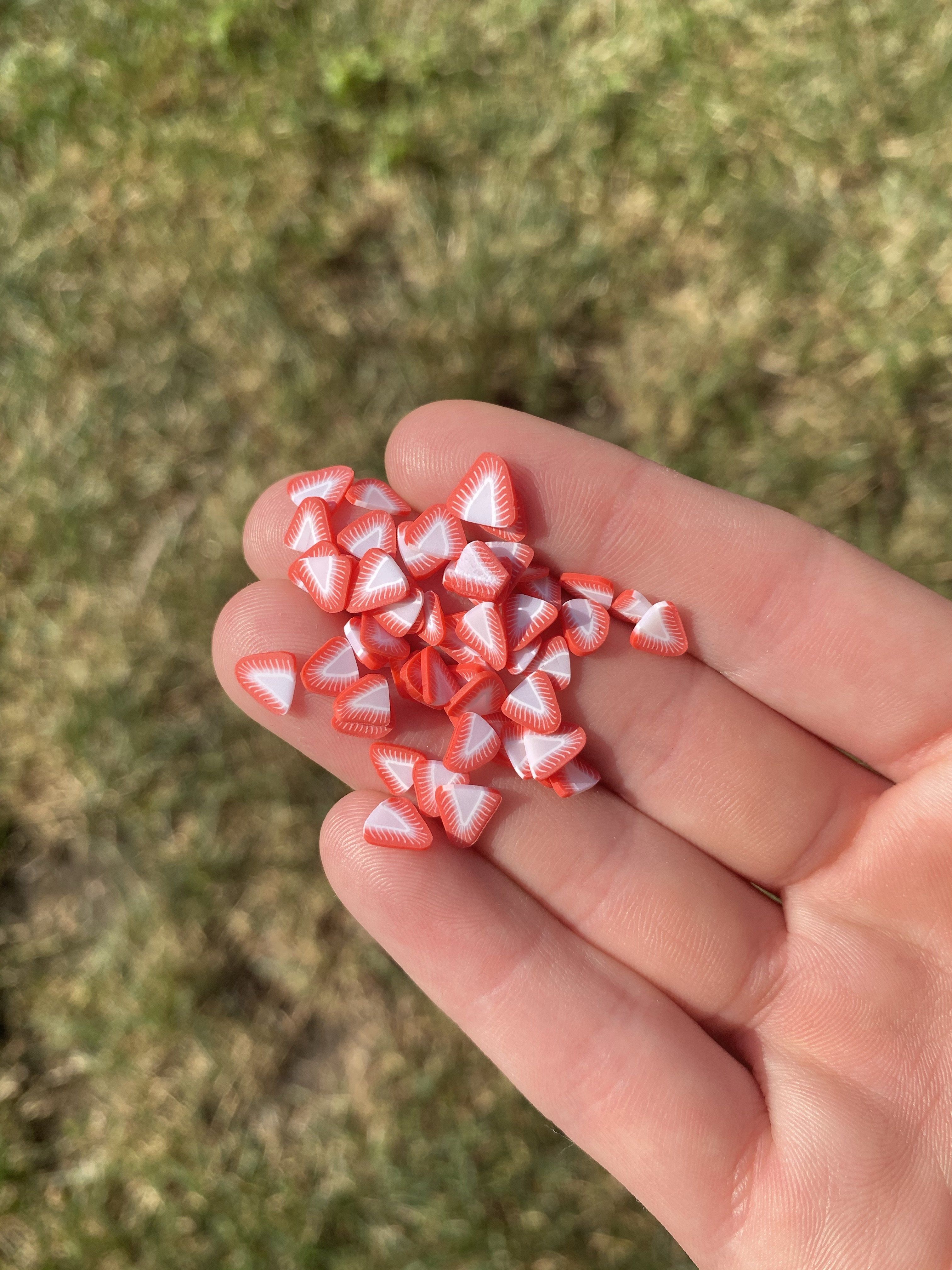 Red Strawberry Polymer Slices